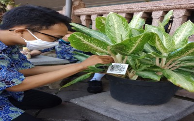 Menanam Bibit Tanaman, Mewujudkan Taman Sekolah yang Hijau dan Sejuk sebagai Upaya Mengaplikasikan Program Adiwiyata